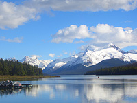 2009ǯ٥󥰥ۥǡ ʥӥϡ罸ͤ 