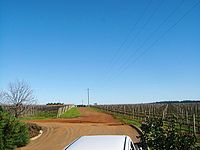 ϫƯơץ롼˥󥰡 ۥAustralia