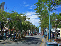 ȾãγڱࡡSurfers Paradise 