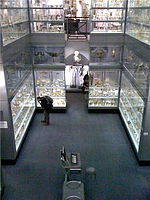 The Hunterian Museum