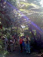 Kew Garden Ƥ