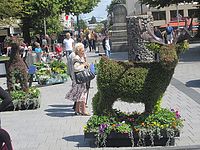 ǥ󥷥ƥβƤʪFestival of Flower
