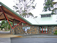 Auckland ZooʥưʪˡNZιĻKiwiʥˤ˲񤪤