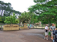 Auckland ZooʥưʪˡNZιĻKiwiʥˤ˲񤪤