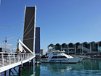 Wynyard Quaterʥ䡼ɡ  ɡƥο̾