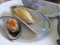 NZβƤεڤࡪ
