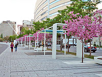 ƤΥ٥in Montreal
