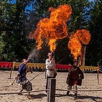 ˥ॹåסLes Médiévales de Provins