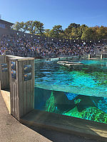 ե󥹤ưʪءZoo Amneville