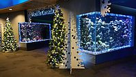 Sea of Lights٥Х󥯡С²ۤΥꥹޥ