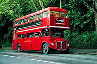 ե̡ƥڤХĥRed Bus Bistro ǥХ