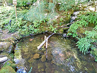֤γӥȥꥢˤThe Butchart Garden١ʥ