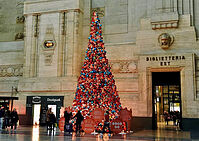 �����ꥢι�Ԥˤ����뼣�¾�����Ű�줷�������к���