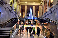 �����ꥢι�Ԥˤ����뼣�¾�����Ű�줷�������к���