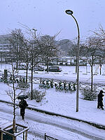 雪の影響 寒波のフランスで物流の停滞、白銀のParisに燥ぐ子供達