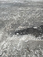 �h�C�c�E�x���������b���N�̓~�̋Ɋ����s�s�@�\�ɗ^�����e�� 