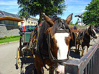 �u�������v�Ɓu���x�v�A�p��ŉ��Ƃ����H �@�A�W�A���̑����͋��������j��